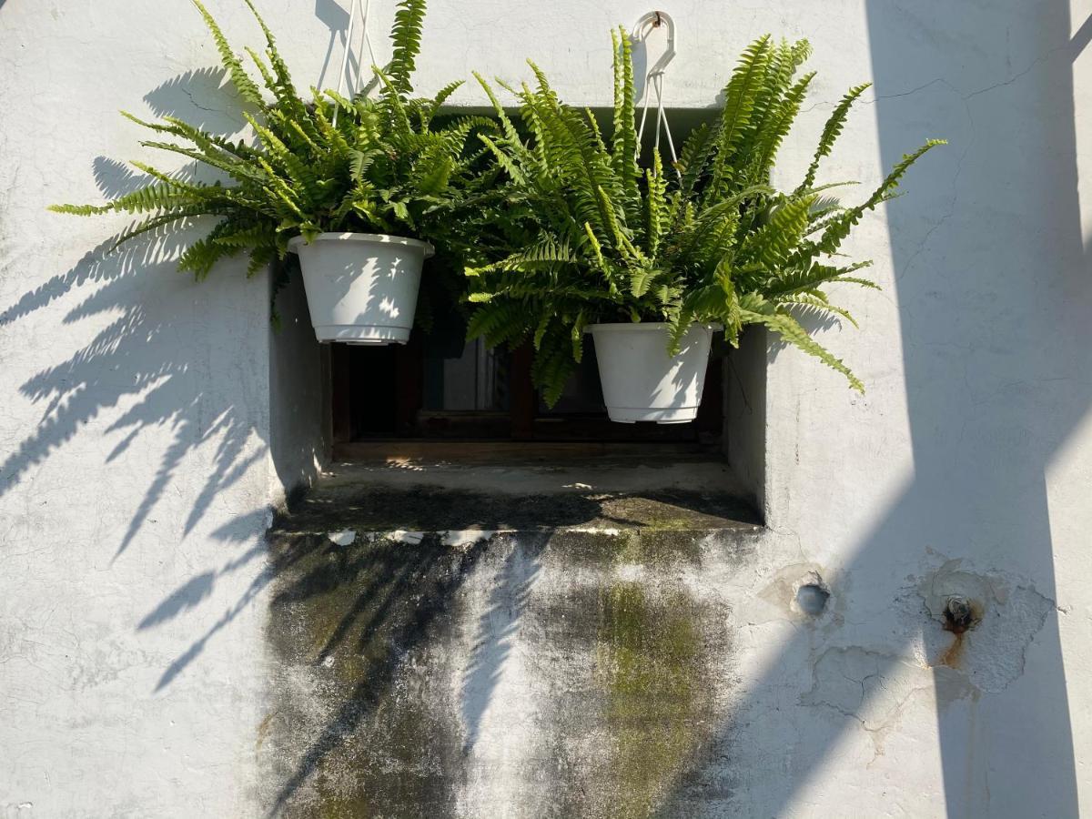 緩緩歸 Slow Living Tchaj-nan Exteriér fotografie